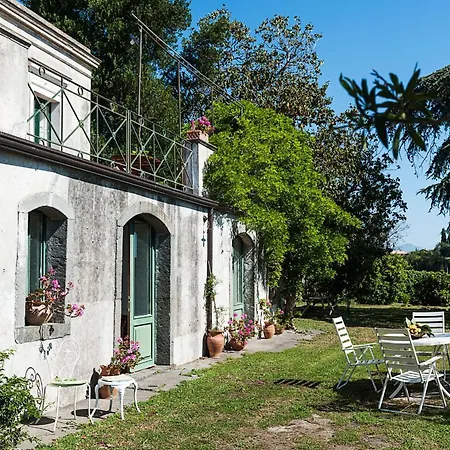 Bagolaro *