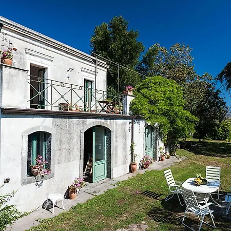 Bagolaro