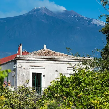 Bagolaro San Leonardello